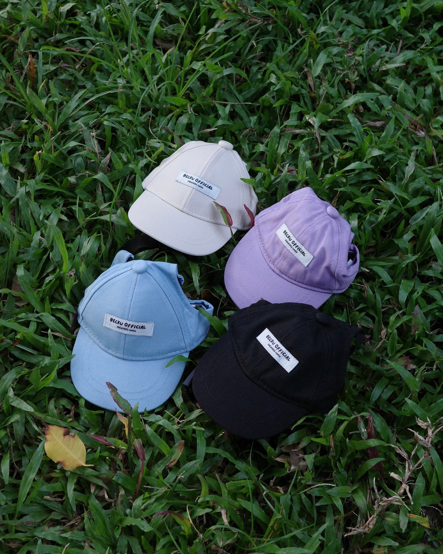 Becku Pet Cap (Blue)