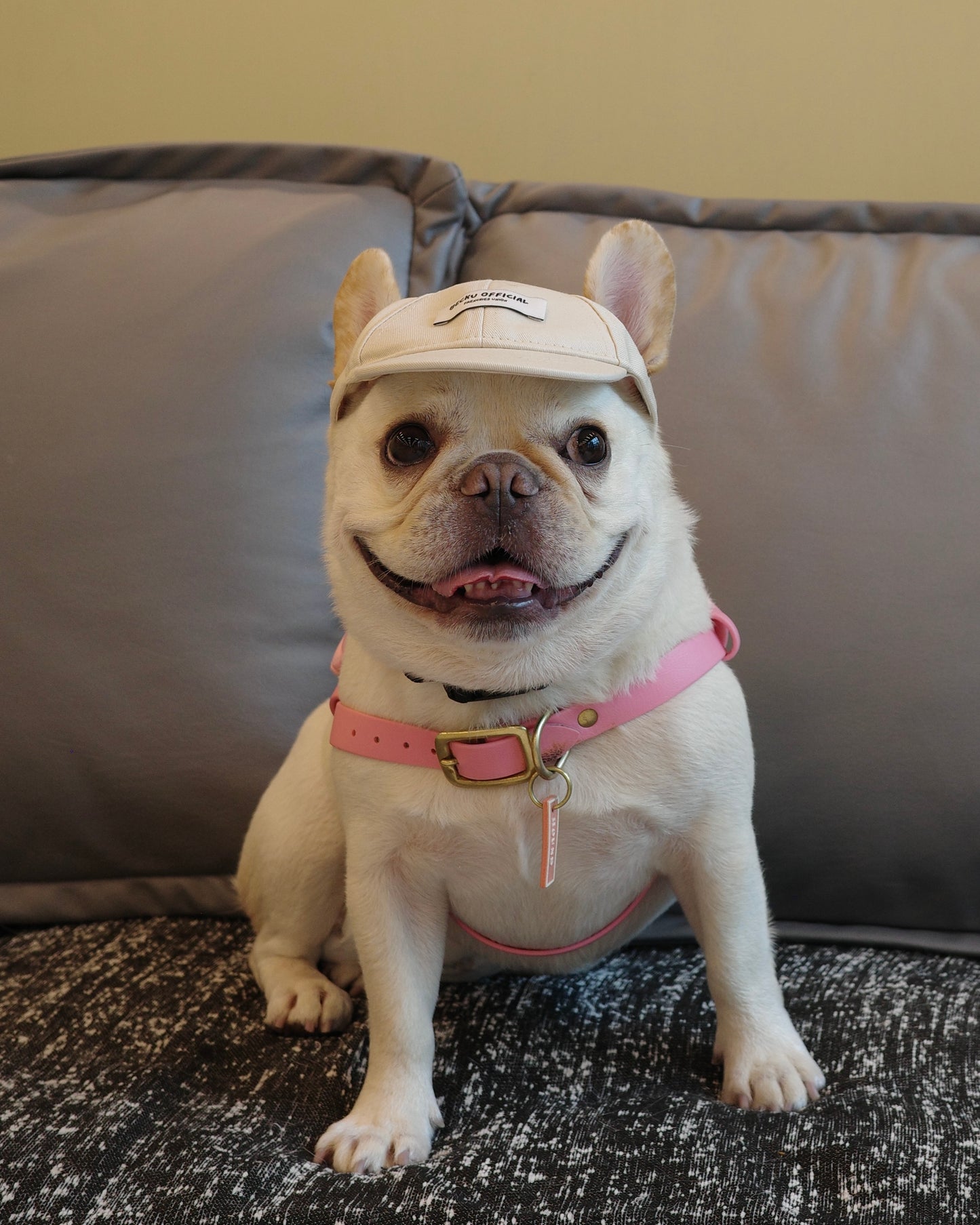 Becku Pet Cap (Beige)