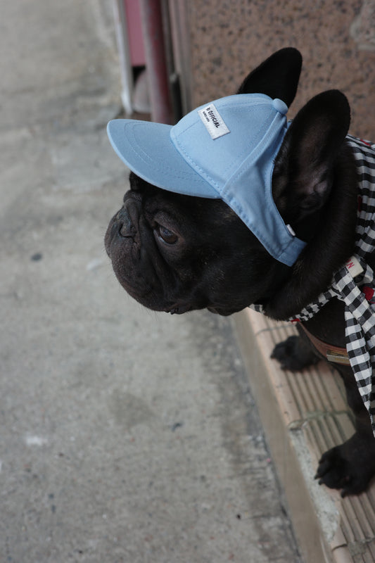 Becku Pet Cap (Blue)