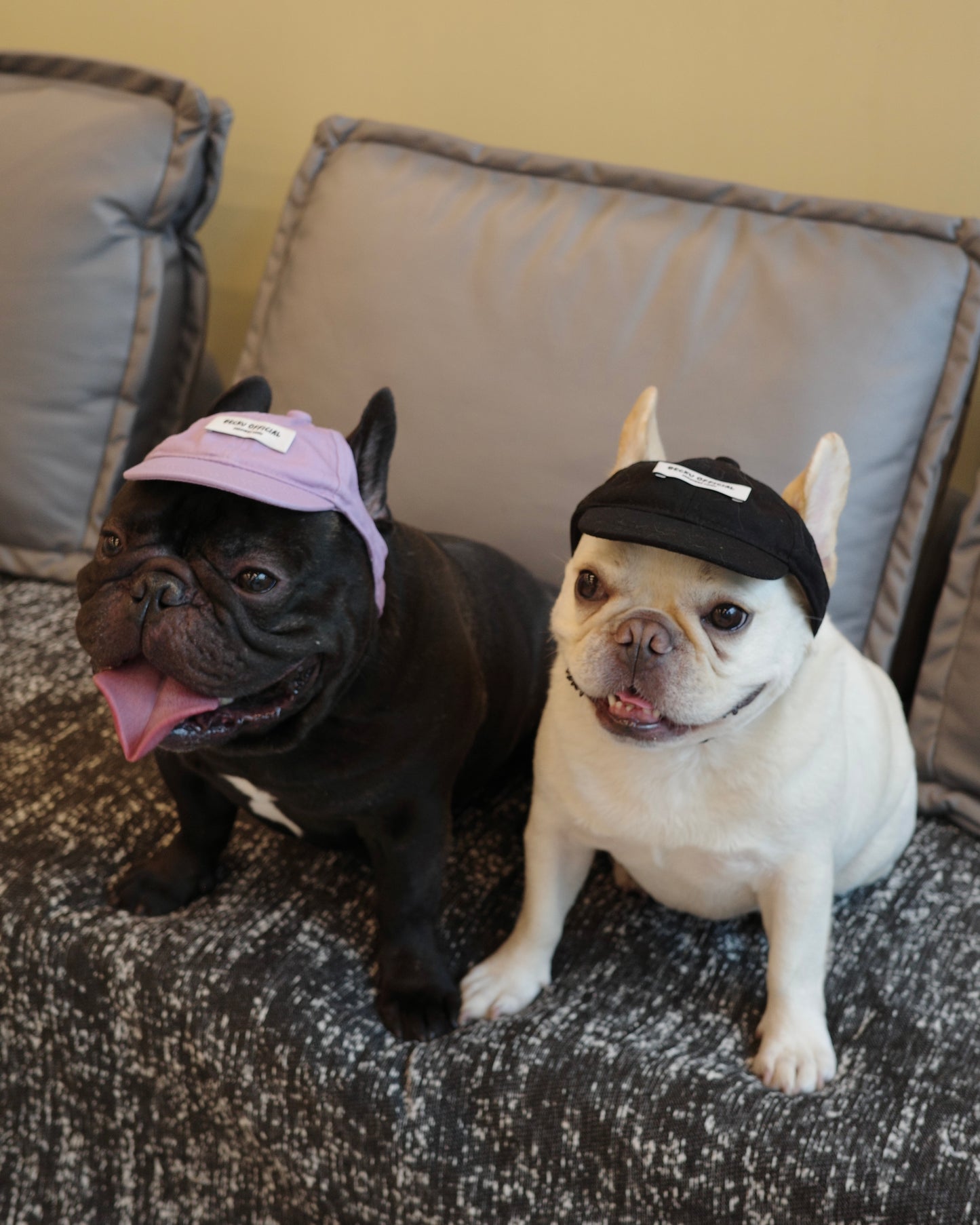 Becku Pet Cap (Black)