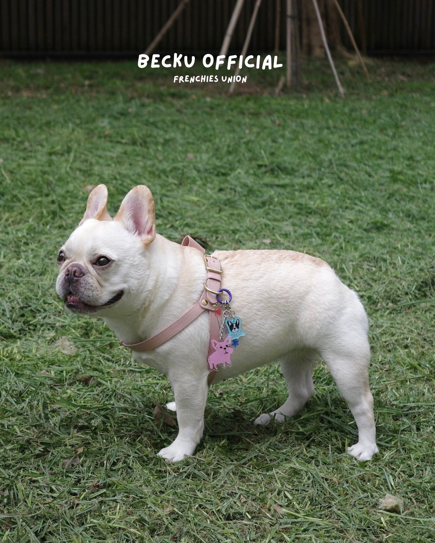 Becku Original Frenchie Keychains