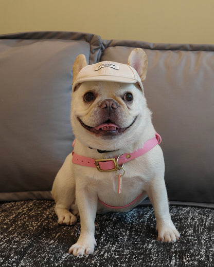 Becku Pet Cap (Beige)