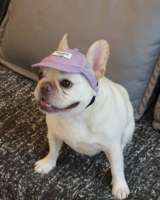 Becku Pet Cap (Purple)