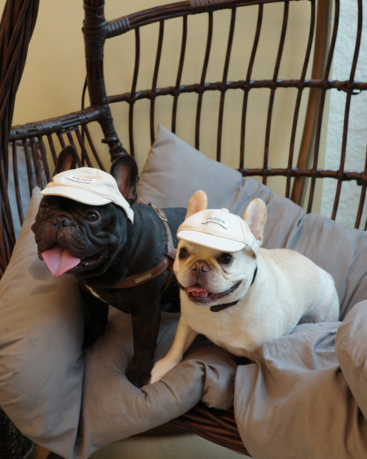 Becku Pet Cap (Beige)